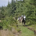 Nymindegab Ridecenter