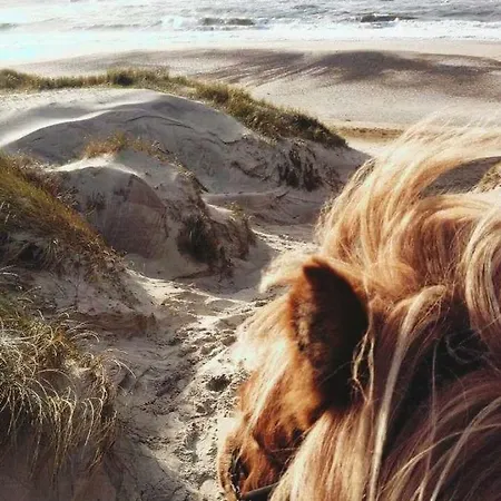 Aldeamento Turístico Nymindegab Ridecenter Nørre Nebel