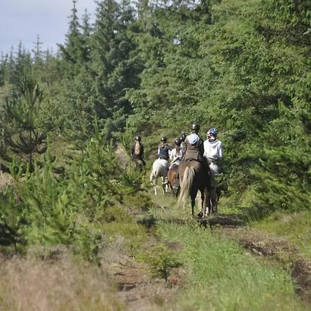 Nymindegab Ridecenter